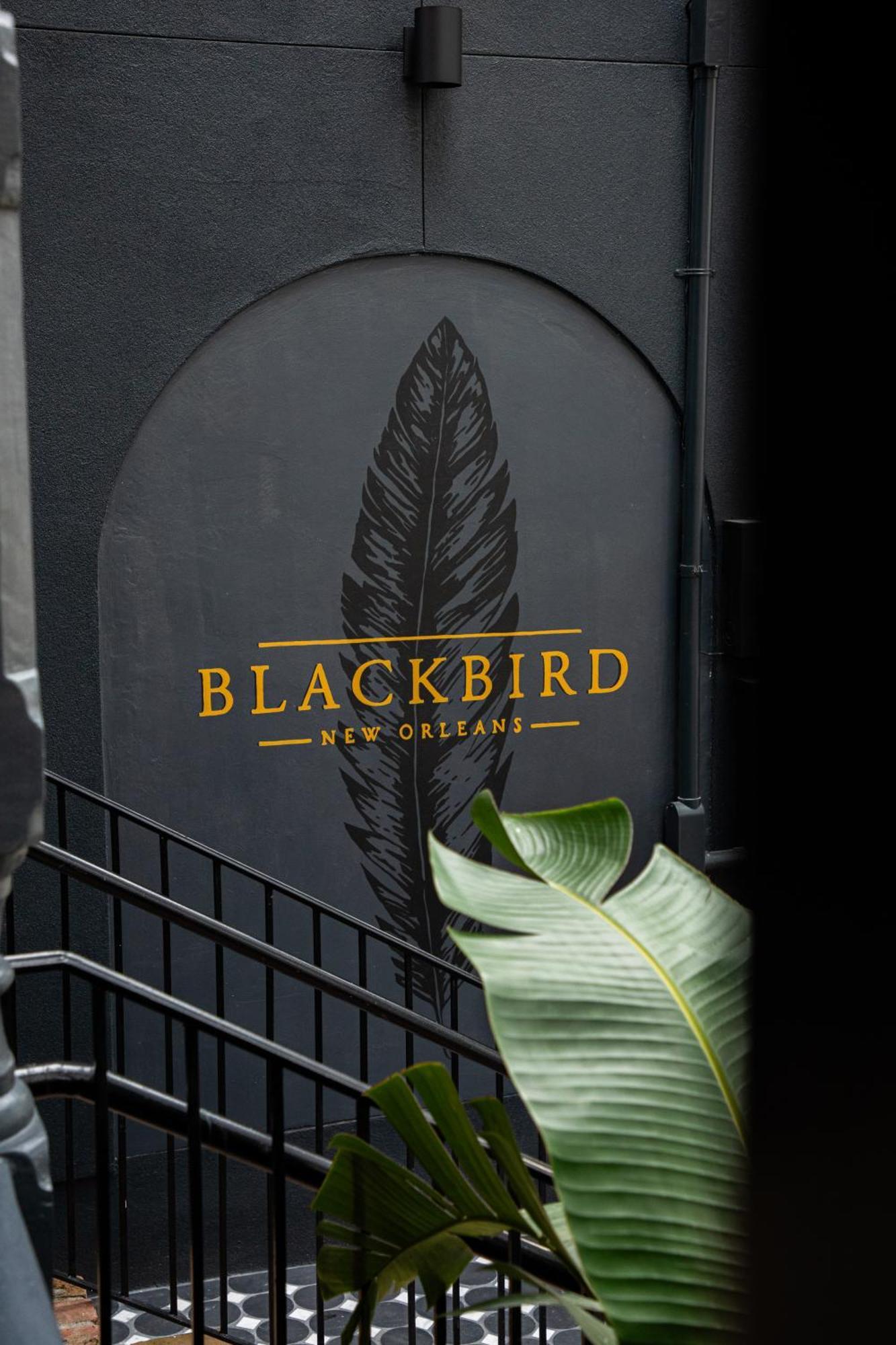 Blackbird Hotel Nueva Orleans Exterior foto
