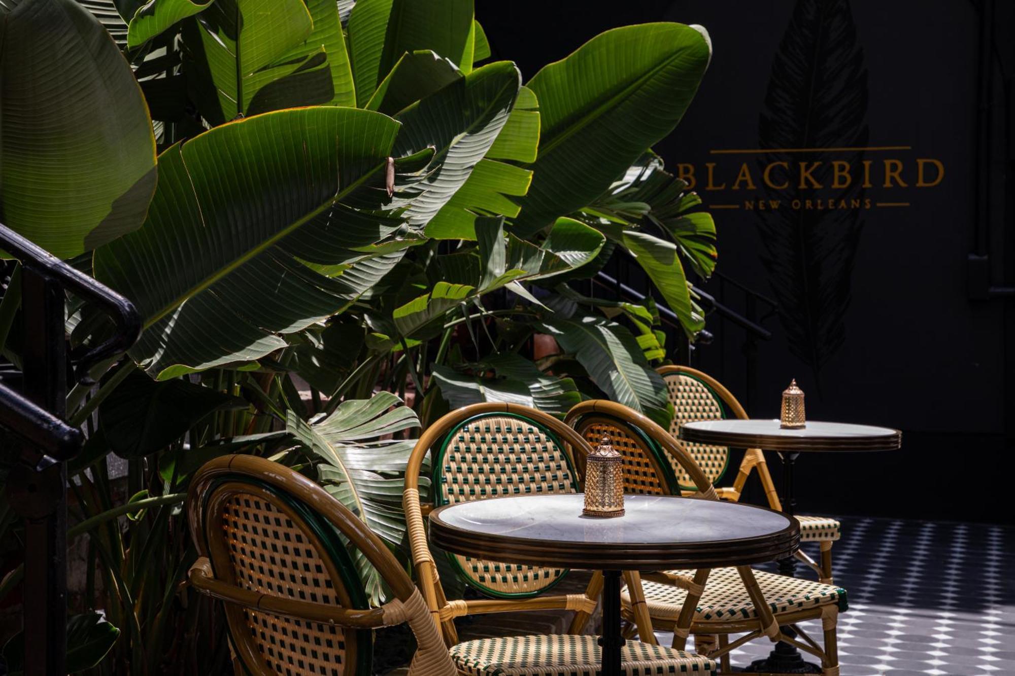 Blackbird Hotel Nueva Orleans Exterior foto